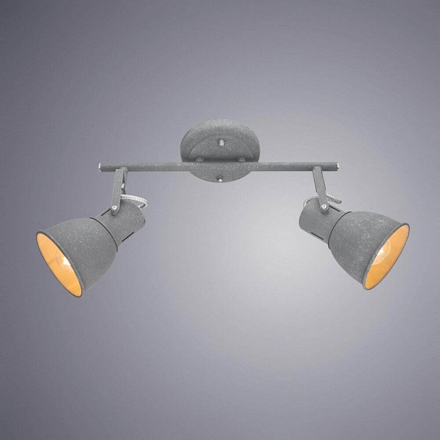 Спот Arte Lamp A1677PL-2GY фото 2