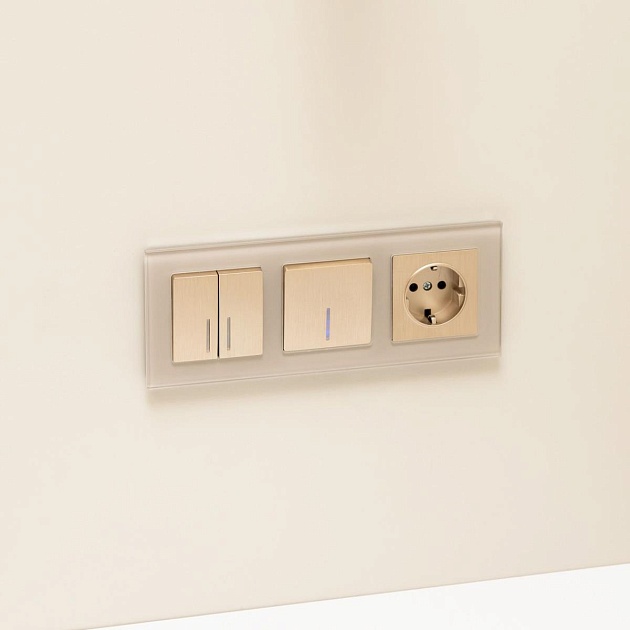 Розетка с заземлением Werkel шампань рифленый W1171010 4690389160325 изображение 4 Розетка с заземлением Werkel шампань рифленый W1171010 4690389160325 Фото № 4