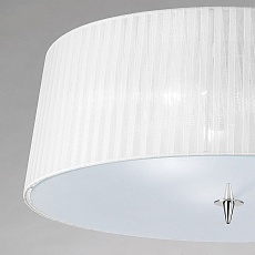 Потолочный светильник Mantra Loewe 4640 2