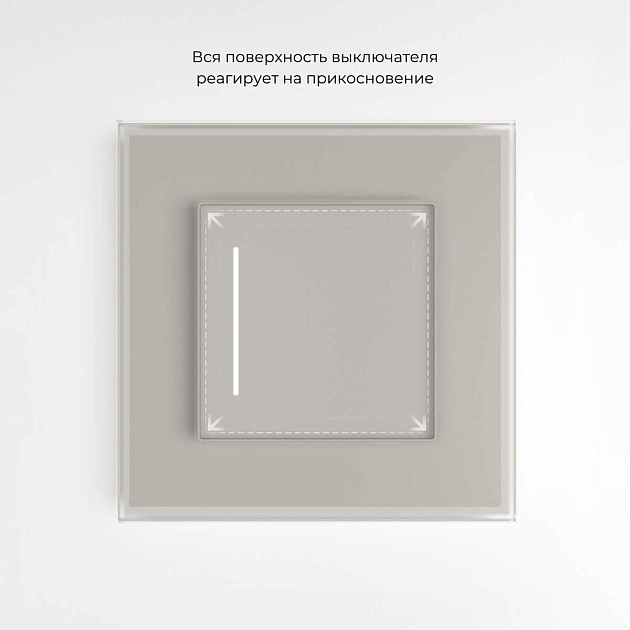 Умный сенсорный выключатель одноклавишный (дымчатый) W4513641/ a069764 изображение 7 Умный сенсорный выключатель одноклавишный (дымчатый) W4513641/ a069764 Фото № 7