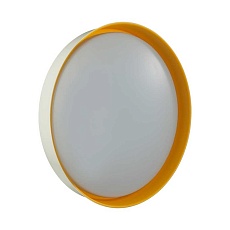 Настенно-потолочный светодиодный светильник Sonex Color Tuna Yellow 7711/EL 4