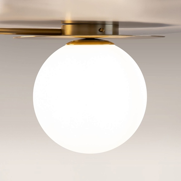 Потолочная люстра Maytoni Star sky MOD291CL-04BS Фото № 2