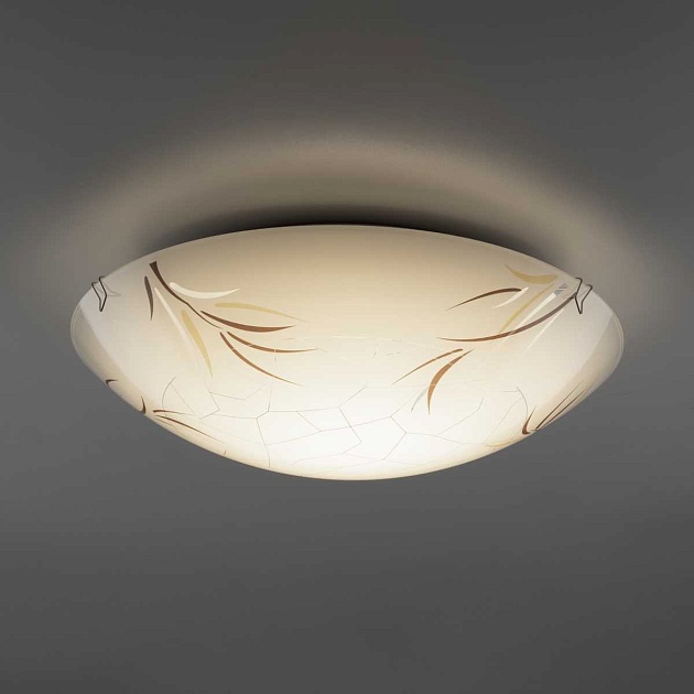 Настенный светильник Citilux Ива CL918009 Фото № 9