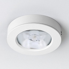 Потолочный светодиодный светильник Elektrostandard DLS030 белый a052413 3