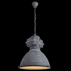 Подвесной светильник Arte Lamp Loft A5014SP-1BG 2
