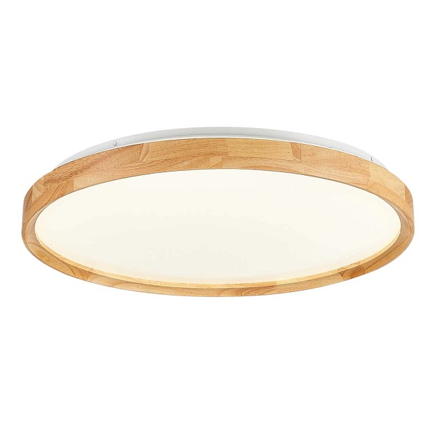 Потолочный сетодиодный светильник Evoluce Delia SLE201382-01 изображение 5 Потолочный сетодиодный светильник Evoluce Delia SLE201382-01 Фото № 5