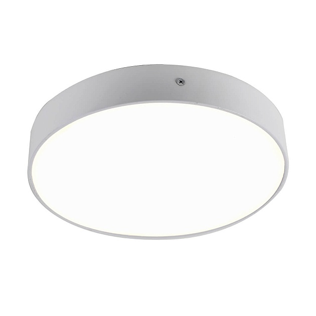 Потолочный светодиодный светильник Favourite Flashled 2065-30C изображение 1 Потолочный светодиодный светильник Favourite Flashled 2065-30C Фото № 1