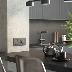 Рамка Werkel Stark на 2 поста графит W0021864 4690389194504 1