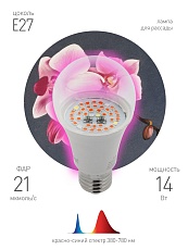 Лампа светодиодная для растений ЭРА E27 14W 1310K прозрачная Fito-14W-RB-E27 Б0050602 2