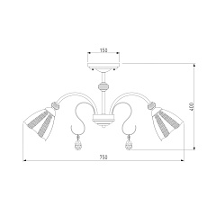 Потолочная люстра Eurosvet Floranse 30155/8 белый 1