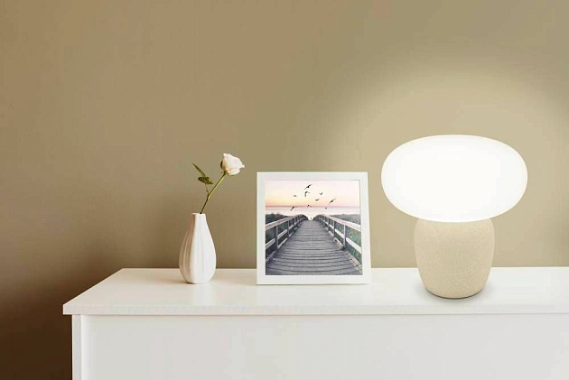 Настольная лампа Eglo Cahuama 99824 Фото № 3