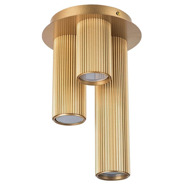Потолочная люстра Lightstar Roma 718033 Фото № 1