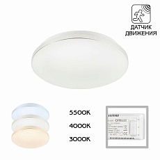 Потолочный светодиодный светильник Citilux Симпла CL71424SV