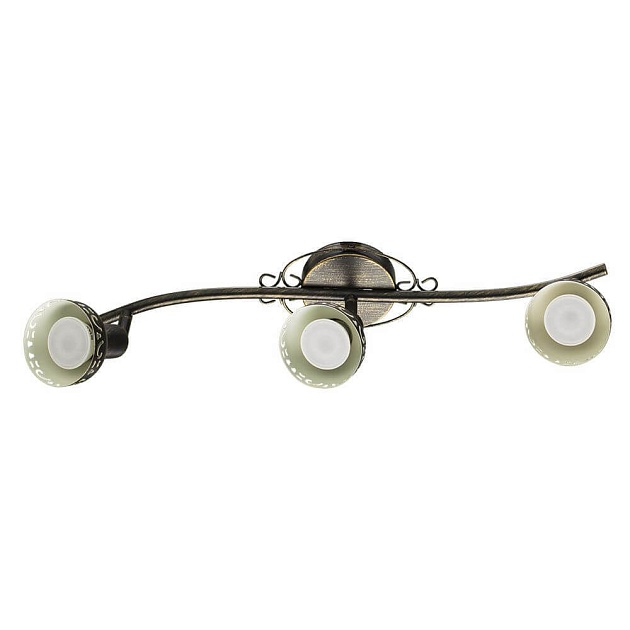 Спот Arte Lamp Focus A5219PL-3BR изображение 1 Спот Arte Lamp Focus A5219PL-3BR Фото № 1
