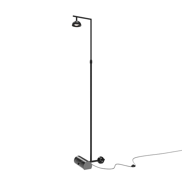 Напольный светильник (торшер) Maytoni MOD372FL-L10B3K Фото № 1