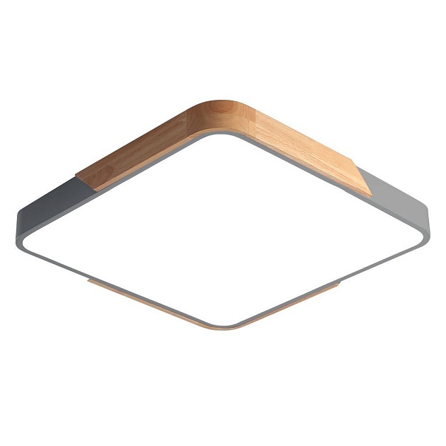 Потолочный светодиодный светильник Jazzway PPB Sсandic-S 5037359 Фото № 1