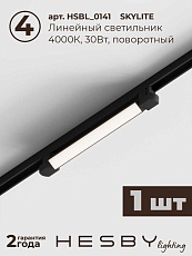 Накладная однофазная трековая система Hesby Lighting Skylite №14 со светильниками HSBL_kompl_S014_NI2B4K 2