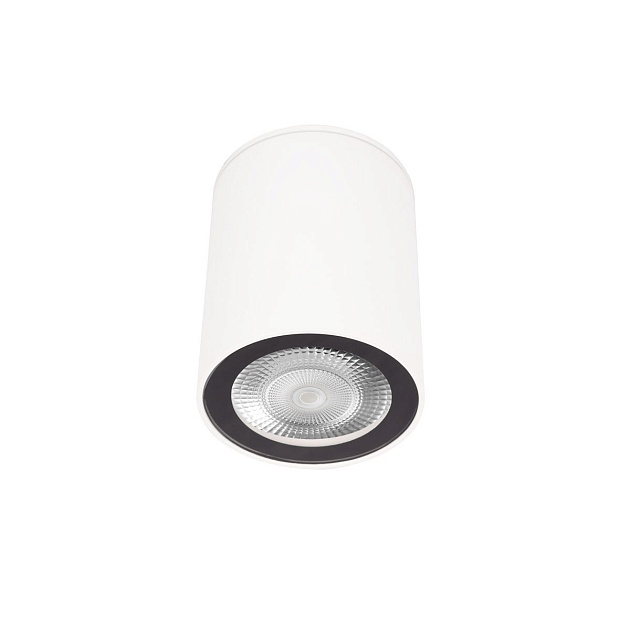 Накладной светильник Loft IT Rush 10344 White изображение 1 Накладной светильник Loft IT Rush 10344 White Фото № 1