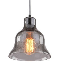 Подвесной светильник Arte Lamp Amiata A4255SP-1SM 1