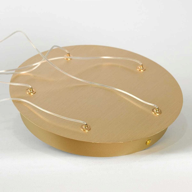 Люстра подвесная Lussole HOPKINS LSP-7400 Фото № 5