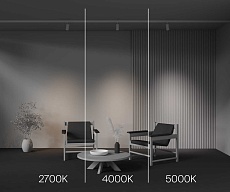 Трековый светодиодный светильник Maytoni Technical Focus Led TR197-3-12WCCT-M-W 2