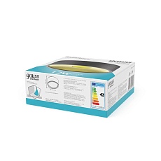 Потолочный светодиодный светильник Gauss Overhead HD040 4