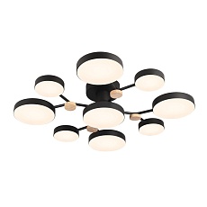 Потолочный светильник LED4U L3201-780 BK 2