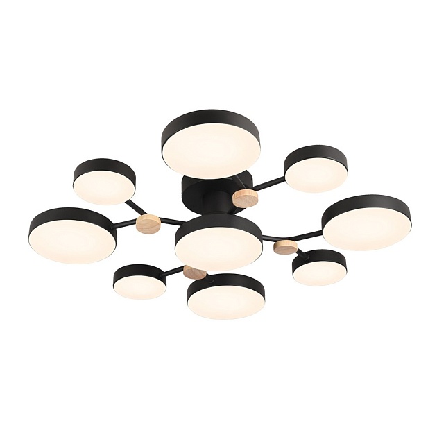 Потолочный светильник LED4U L3201-780 BK изображение 3 Потолочный светильник LED4U L3201-780 BK Фото № 3