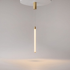 Подвесной светильник Maytoni Ray P022PL-L10MG3K 5