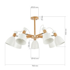 Потолочная люстра Evoluce Balcamo SLE103802-07 1