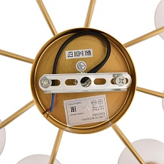 Люстра Lumion LARINA 8323/8C 2