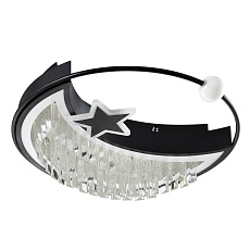 Потолочный светильник LED4U L8024-450 BK