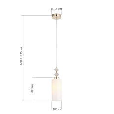 Подвесной светильник ST Luce Elegra SL1402.253.01 1