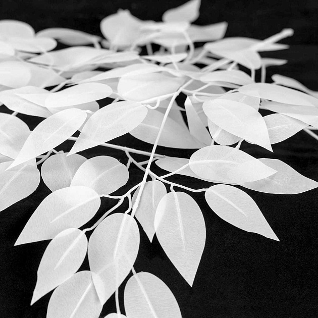 Люстра подвесная Lussole IDAHO LSP-8986 изображение 3 Люстра подвесная Lussole IDAHO LSP-8986 Фото № 3