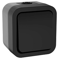 TORS Переключатель одноклавишный 10А IP55 TS101 графит IEK TS-V10-0-10-55-K53