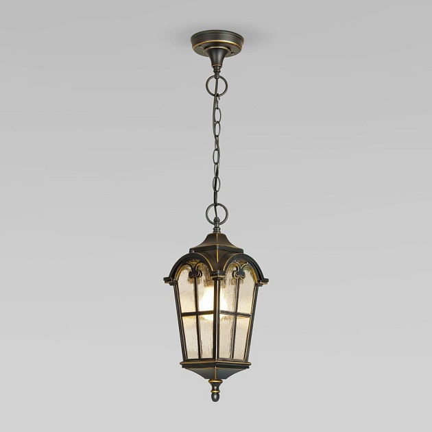 Уличный подвесной светильник Elektrostandard Mira a025299 Фото № 1