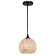 Подвесной светильник Arte Lamp Spumante A8073SP-1BK