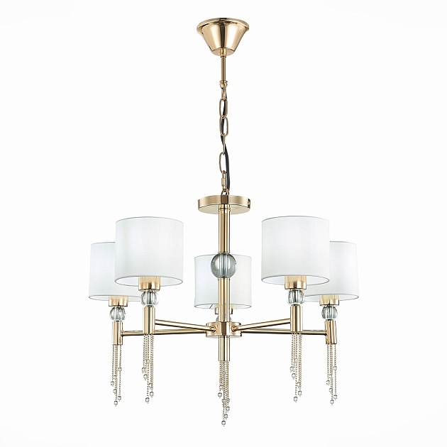 Подвесная люстра Evoluce Primma SLE105153-05 Фото № 1