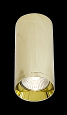 Потолочный светильник Maytoni Technical Focus C010CL-01G 5