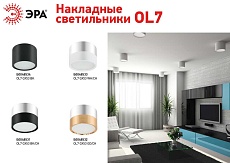 Накладной светильник ЭРА OL7 GX53 GD/CH Б0048532 1