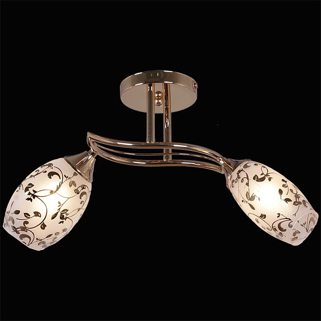 Потолочный светильник Reluce 91200-6.3-02B FGD изображение 3 Потолочный светильник Reluce 91200-6.3-02B FGD Фото № 3