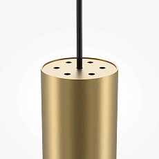 Подвесной светильник Maytoni Pro Focus MOD161PL-01G1 1