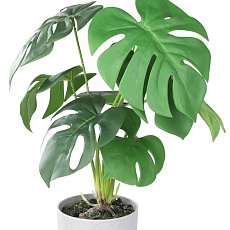 Искусственное растение Eglo TOBETSU 428017 2