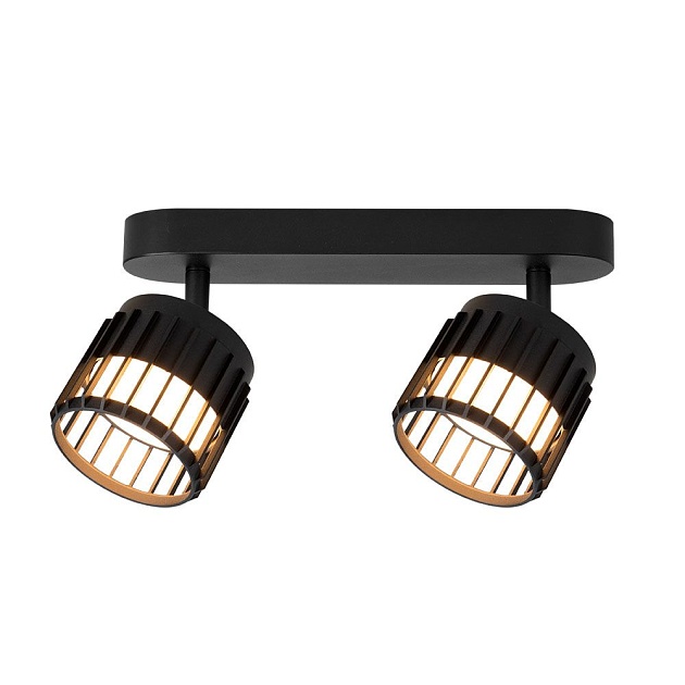 Спот Arte Lamp Atria A8031PL-2BK Фото № 1