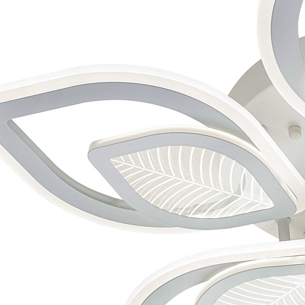 Потолочная светодиодная люстра Escada Anise 10288/10LED Фото № 3