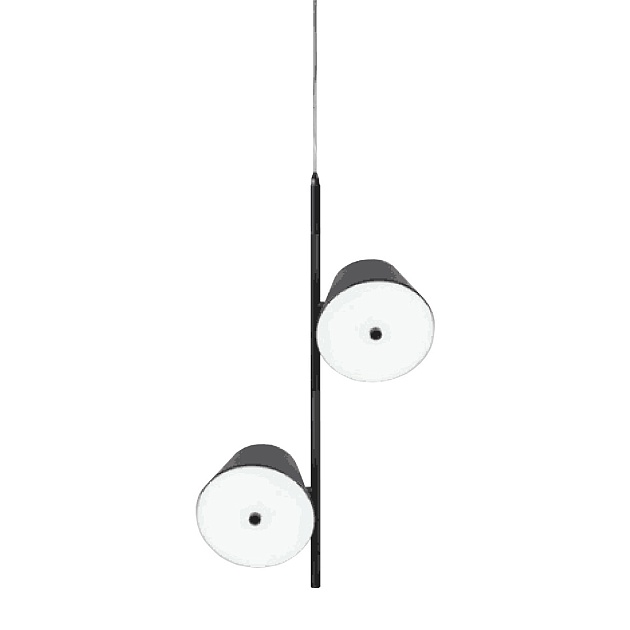 Подвесной светодиодный светильник Gerhort G31107/2BK BK изображение 1 Подвесной светодиодный светильник Gerhort G31107/2BK BK Фото № 1