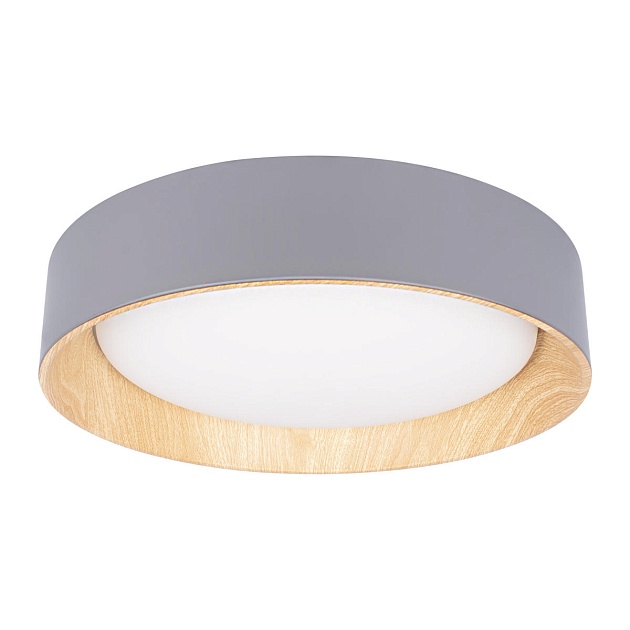 Потолочный светодиодный светильник Loft IT Coin 10202 Grey изображение 1 Потолочный светодиодный светильник Loft IT Coin 10202 Grey Фото № 1