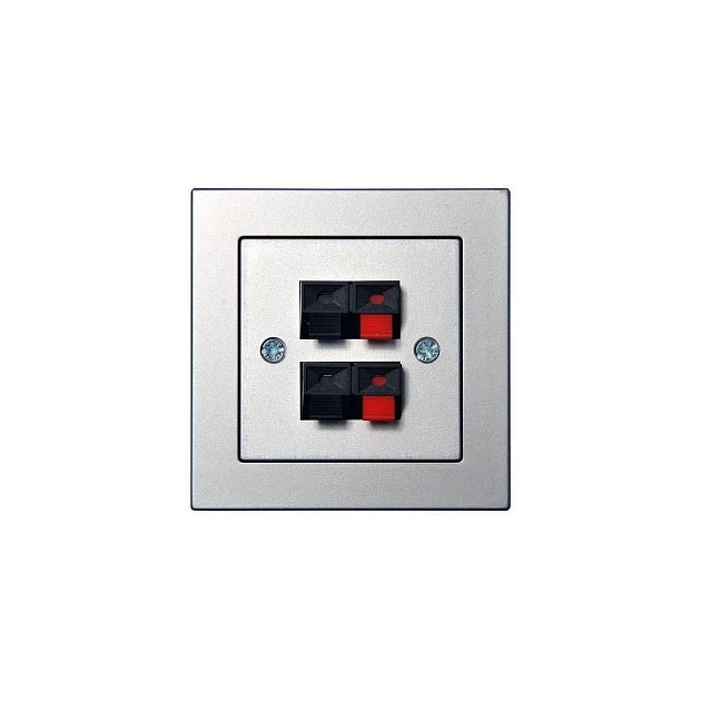 Аудиорозетка двойная Liregus Epsilon серебро 28-1845 Фото № 1