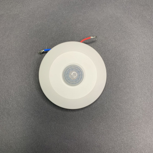 Датчик движения инфракрасный Elvan DD-001 Фото № 2