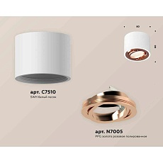 Комплект накладного светильника Ambrella light Techno Spot XS7510005 SWH/PPG белый песок/золото розовое полированное (C7510, N7005) 1